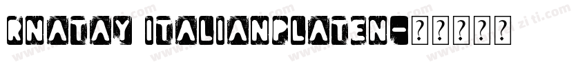 RNATAY ItalianPlateN字体转换